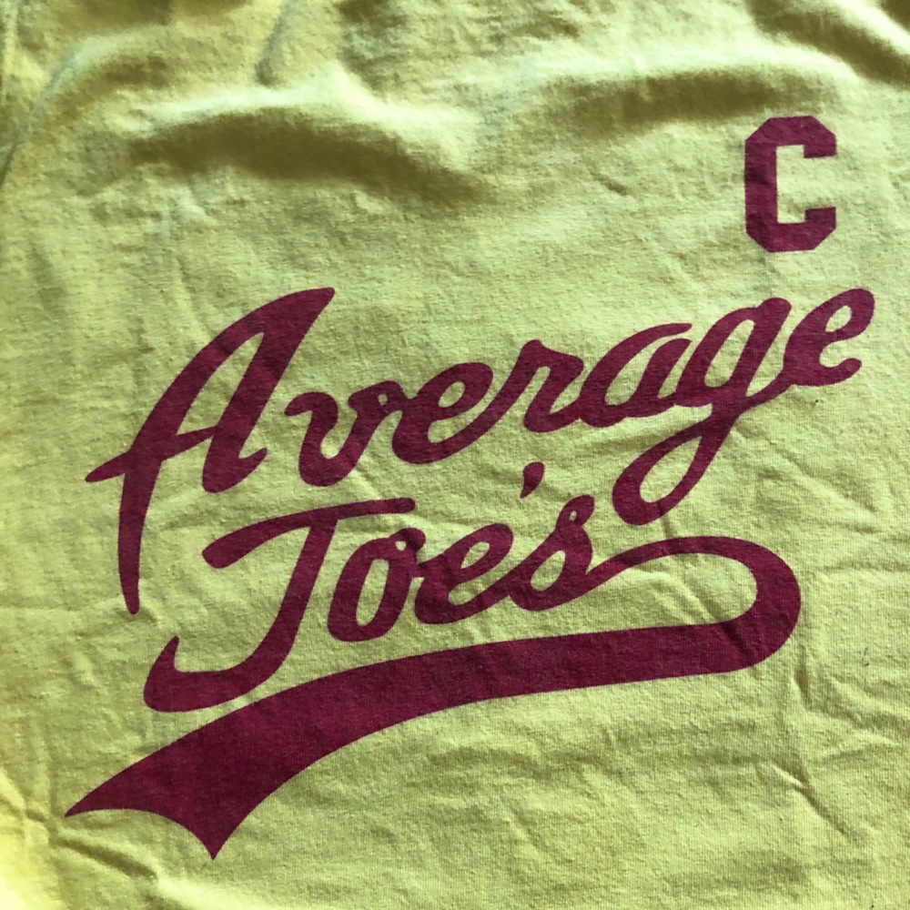 🐝3/$15 Dodgeball t-shirt - “Average Joes”